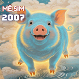 Sinh năm 2007 hợp số nào ?