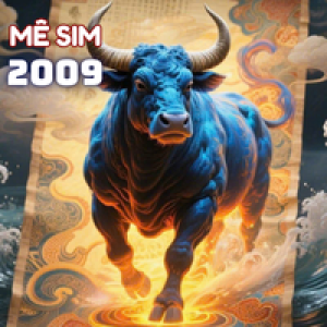 Sinh năm 2009 hợp số nào ?