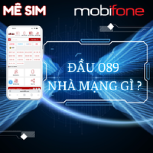 Đầu số 089 nhà mạng gì?