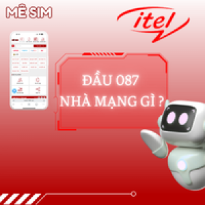 Đầu số 087 nhà mạng gì?