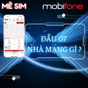 Đầu số 07 nhà mạng gì?