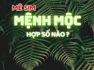 “Sim hợp mệnh Mộc – Bí mật của những con số mang lại tài lộc và thành công”