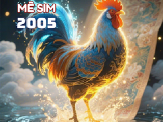 Sinh năm 2005 hợp số nào ?