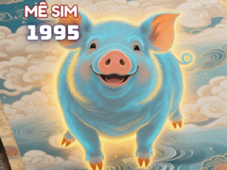 Sinh năm 1995 hợp số nào ?