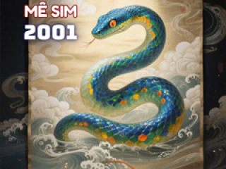 Sinh năm 2001 hợp số nào ?