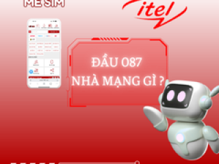 Đầu số 087 nhà mạng gì?